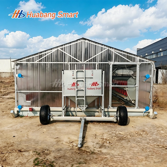 Chicken Tractor For Egg Layers